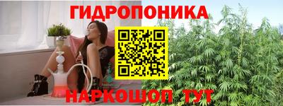 винт Бердск