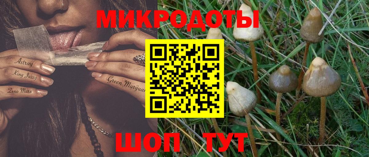 купить наркоту  Галлюциногенные грибы Psilocybe  Вход с VPN  Галлюциногенные грибы Psilocybe  Каменка 