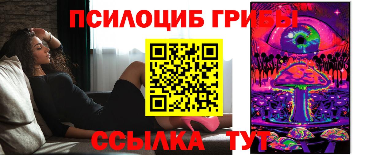 Псилоцибиновые грибы Psilocybine cubensis Каменка